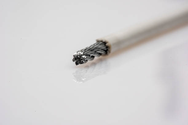 Stripped Power Cord