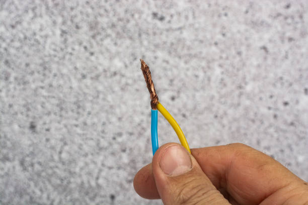 Stripped Power Cord 2